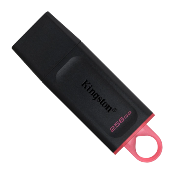 Флеш пам'ять USB Kingston DataTraveler Exodia 256GB USB 3.2 Gen 1 Black + Pink (DTX/256GB)